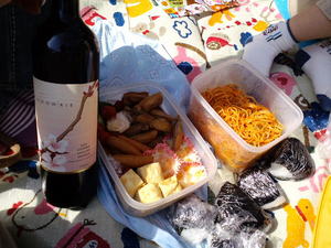 20100404-1.JPG
